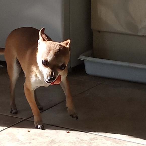 Meet your Posher, Leann - Picture 3 of 3